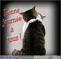 img http://mk8.ti1ca.com/39kb4832.jpg /img